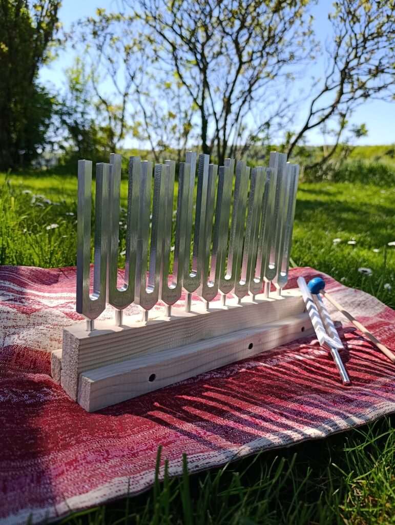 La Sonothérapie en Moselle